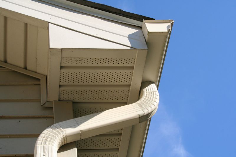 Downspout Snaking in Longmont, CO