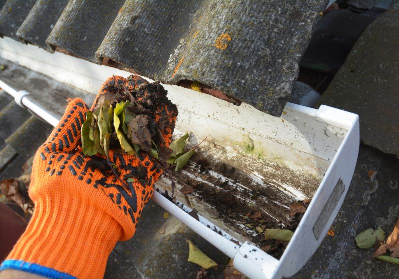 Garage Gutter Cleaning in Long Island, NY