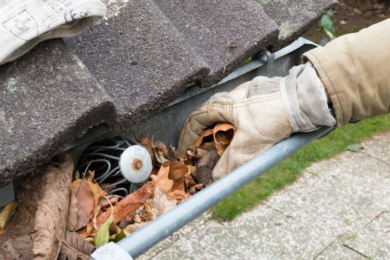 Gutter Leaf Clearing in Arvada, CO