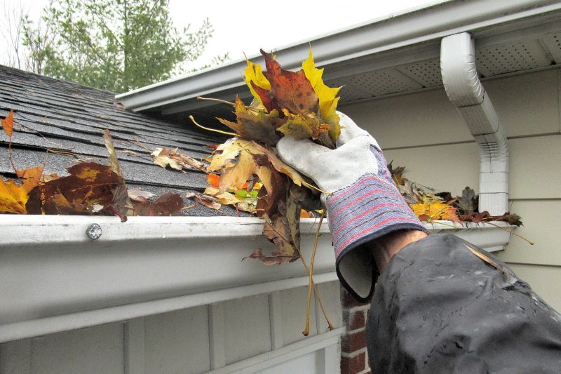 Gutter Leaf Clearing in Bergen County, NJ