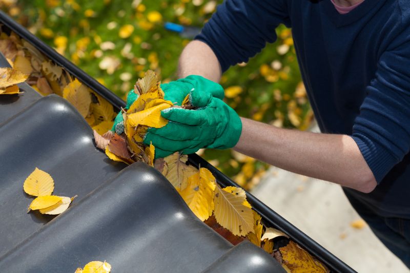 Gutter Leaves Removal in Fredericksburg, VA