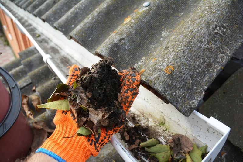 Roof Gutter Cleaning in Rochester, NY